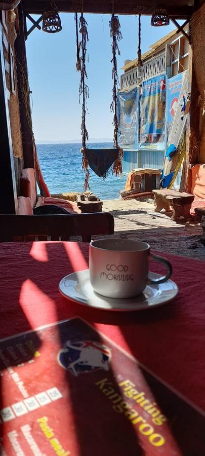 Hotel Fighting Kangaroo Camp Dahab Exterior foto