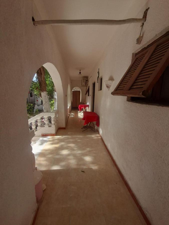 Hotel Fighting Kangaroo Camp Dahab Exterior foto