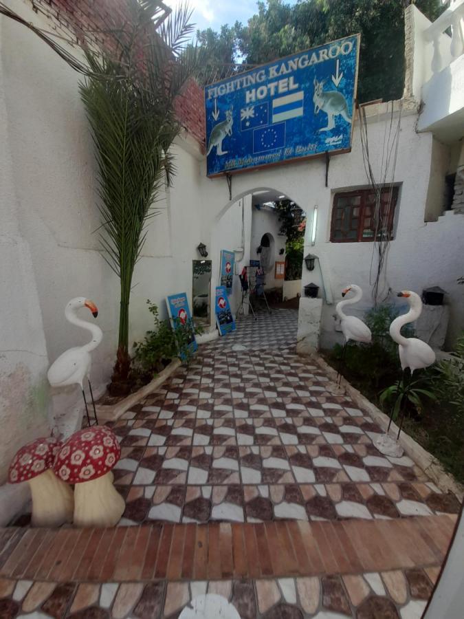 Hotel Fighting Kangaroo Camp Dahab Exterior foto
