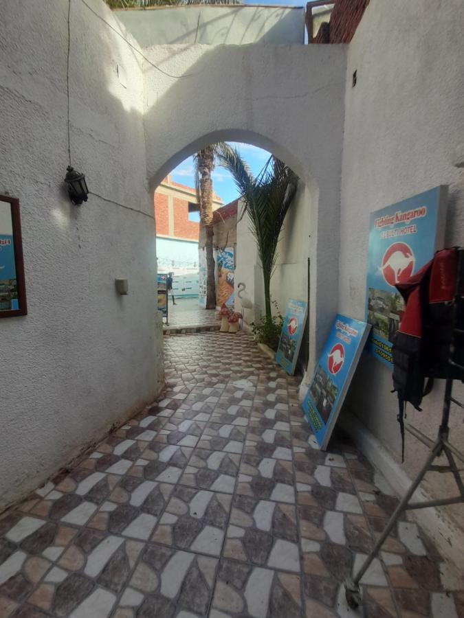 Hotel Fighting Kangaroo Camp Dahab Exterior foto